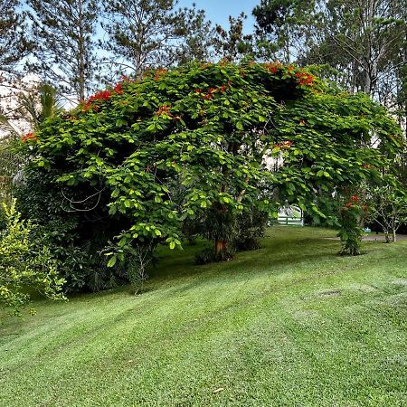 Gästezimmer in der Villa Zimmer Jarabacoa Exteriör bild