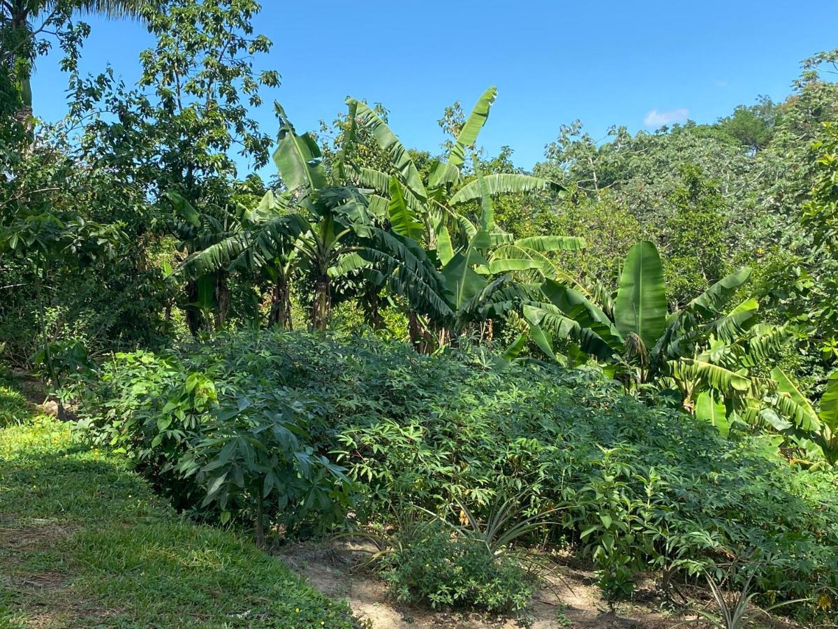 Gästezimmer in der Villa Zimmer Jarabacoa Exteriör bild